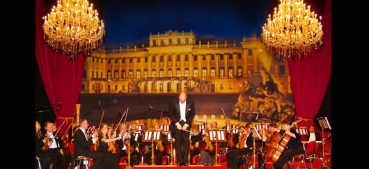 Orchestra-Originală-a-Balului-Operei-din-Viena