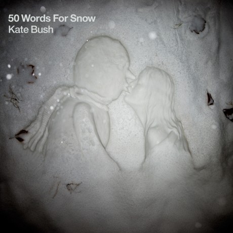 Coperta album Kate Bush - 50 Words For Snow