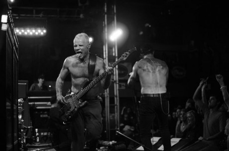 FROM THE ROAD – Red Hot Chili Peppers Turneu 2011 – 2012 (credit foto Clara Balzary)