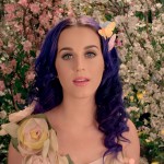 Katy Perry - Wide Awake Video