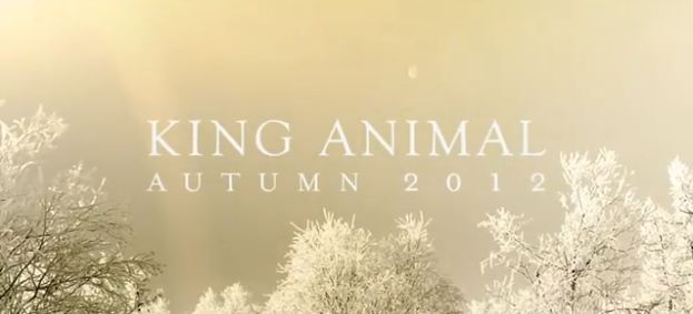 Soundgarden King Animal Worse Dreams Video Preview