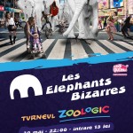 poster-concert-les-elephants-bizzares-control-30-mai-2013