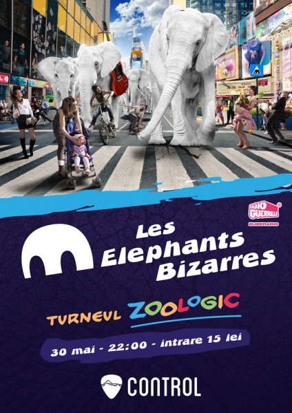 poster-concert-les-elephants-bizzares-control-30-mai-2013
