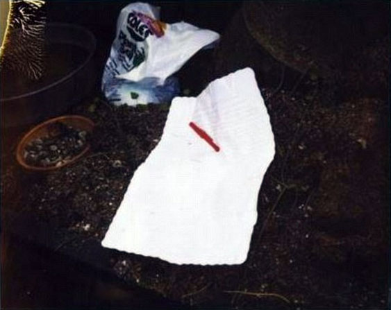 Biletul de adio al lui Kurt Cobain pozat de politiștii care au investigat cazul
