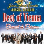 Afiș Johann Strauss Ensemble Concert Teatrul Național București 2015