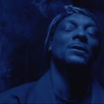 Videoclip Snoop Dogg Revolution