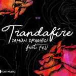 Single Damian Draghici Feli Trandafire