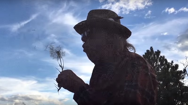Neil Young + Promise Of The Real - Almost Always