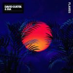 Coperta single David Guetta Sia Flames