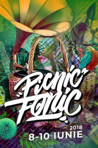 Picnic Fonic Festival 2018