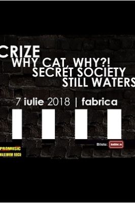 Poster eveniment Crize