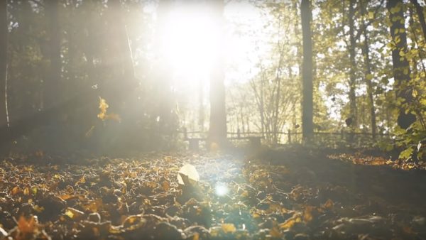 Autumn Leaves (official video) - Eva Cassidy & the London Symphony Orchestra