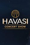 concerte Concerte din Romania afis havasi concert show 2019 100x150