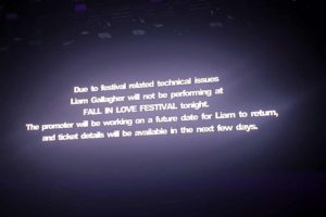 Concertul lui Liam Gallagher de la Fall In Love a fost anulat
