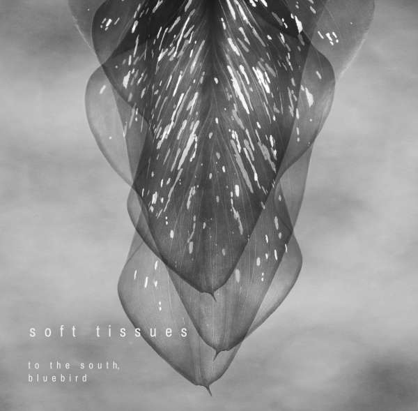 Copertă album "Soft Tissues" (realizată de Meda Alice)