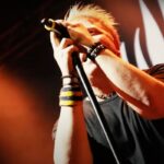 The Offspring Live