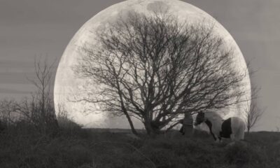 Videoclip Amorphis The Moon