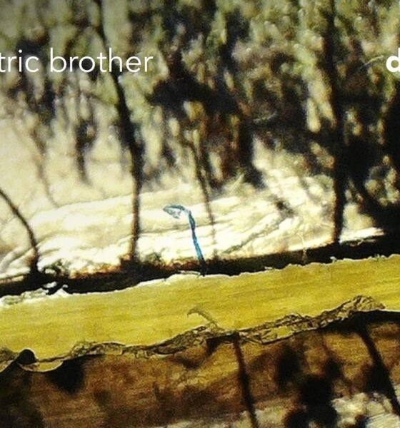 Electric Brother - ”drum”