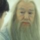 Michael Gambon în "Harry Potter"