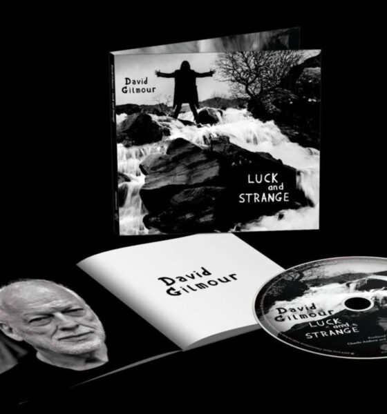 Coperta album David Gilmour Luck and Strange