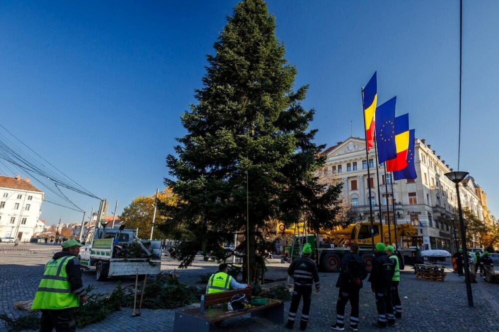 Bradul de Crăciun din Cluj-Napoca, 2024