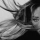 Delia - Artwork "Dor"
