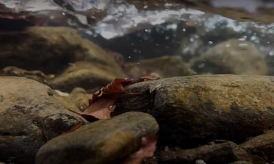 EYEDROPS - Doar un gând