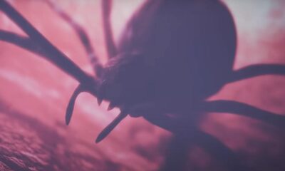 Nightwish - Spider Silk