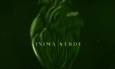 Mădălina Pavăl - Inima Verde (Official Lyric Video)