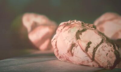 Nightwish - The Weave (OFFICIAL LYRIC VIDEO)