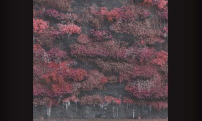 Album "Even In Arcadia", Sleep Token