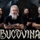 Bucovina