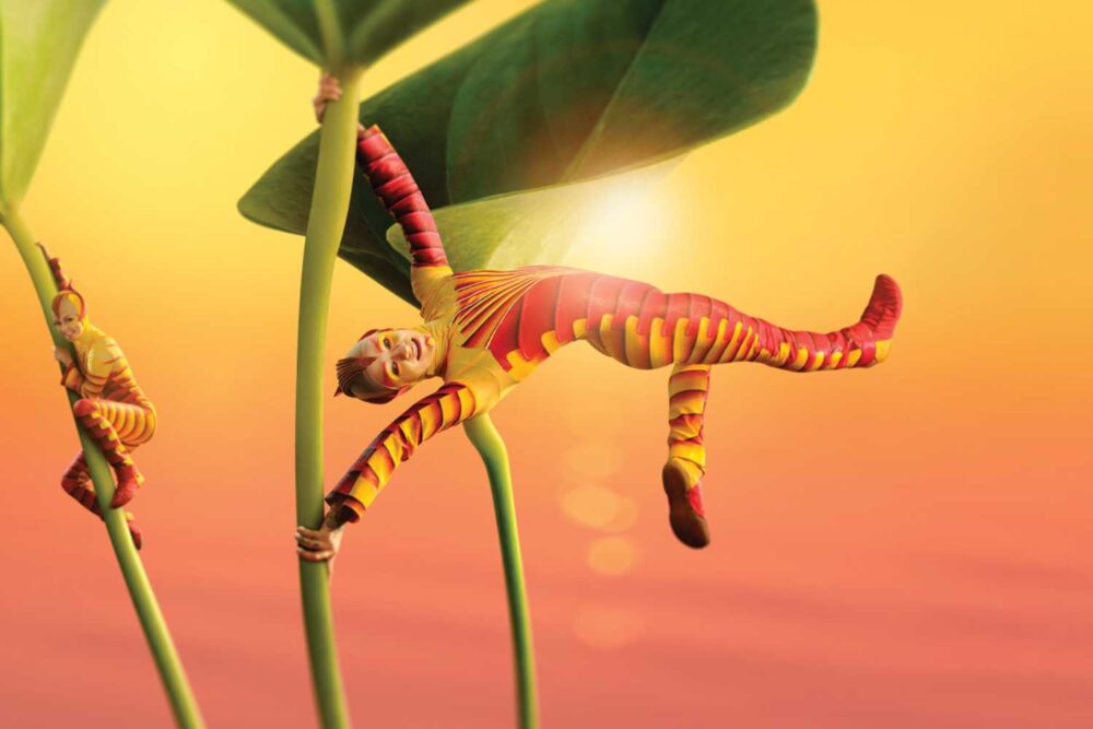 Ovo by Cirque du Soleil