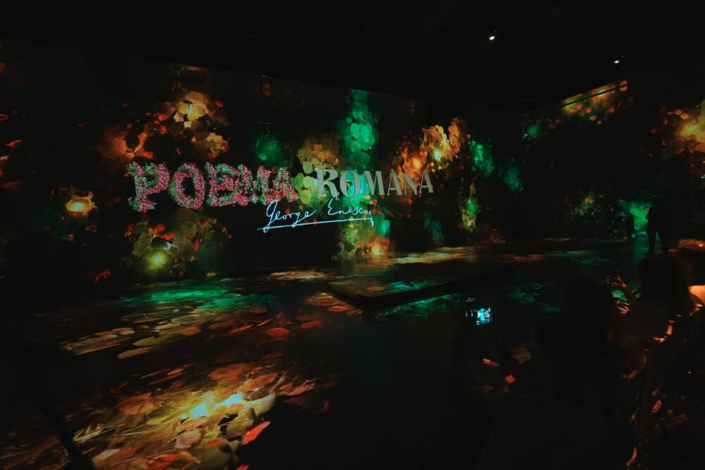 George Enescu - Poema Română la MINA Museum