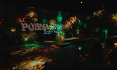 George Enescu - Poema Română la MINA Museum