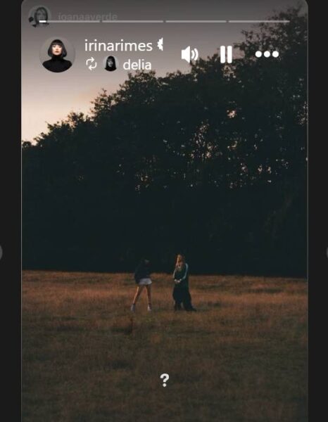 Poză publicată la story pe Instagram de Irina Rimes și Delia