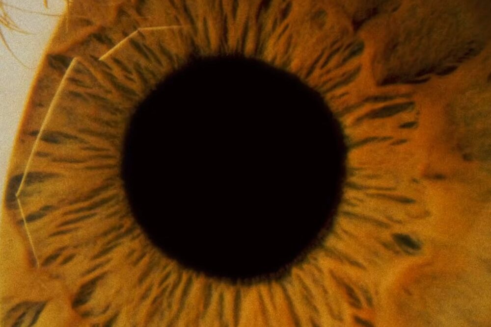 videoclip pink floyd - wish you were here