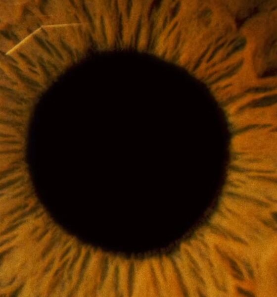 videoclip pink floyd - wish you were here