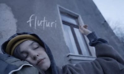 EMAA - Fluturi (artwork)