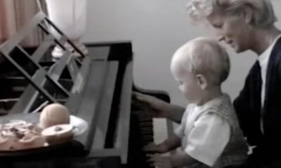 Martin Garrix - Catharina (Official Video)