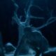 Videoclip Behemoth The Return of Darkness and Evil