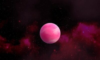 Nibiru Universe