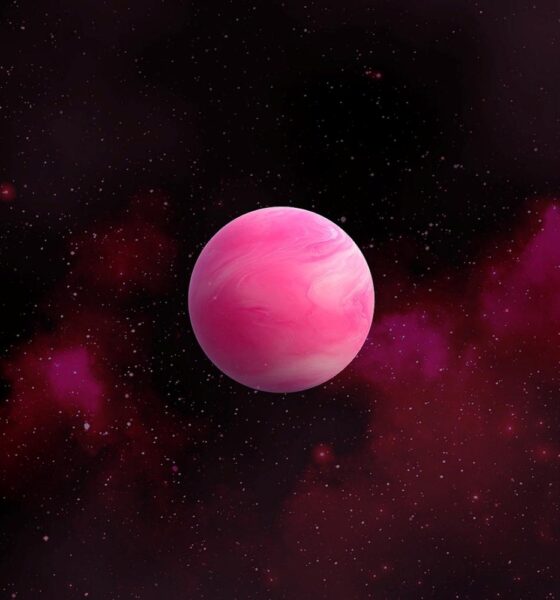 Nibiru Universe