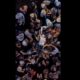 Pauline Kana (Gangster Granny) crowd surfing