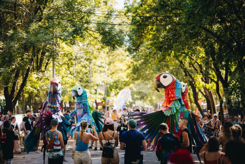 Sziget Festival