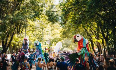 Sziget Festival