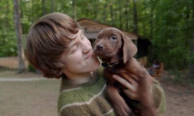 Teaser "Scooby-Doo: Origins"