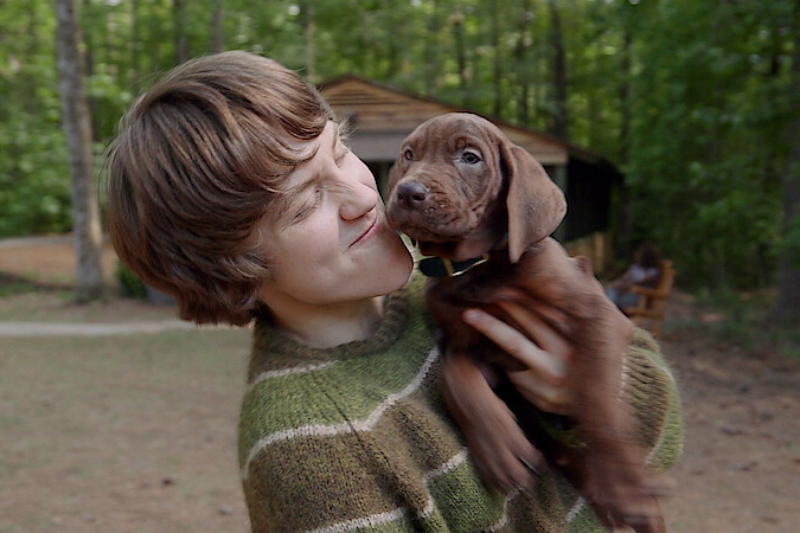 Teaser "Scooby-Doo: Origins"
